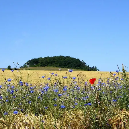 Strandnahe Mit Eigener Terrasse - Strandhaus Moenchgut 02 Lejlighed
